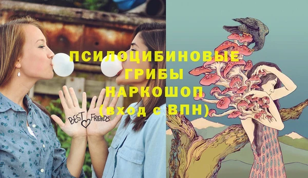 каннабис Баксан
