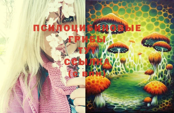 каннабис Баксан