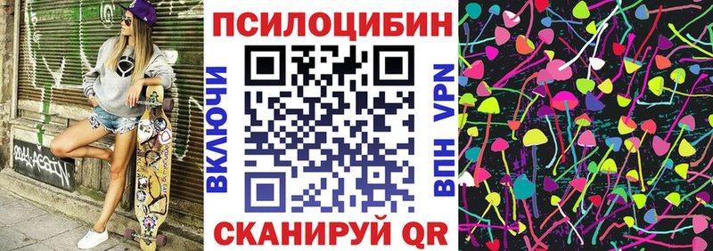 купить наркотики сайты  Нязепетровск  площадка как зайти  Псилоцибиновые грибы Psilocybine cubensis 